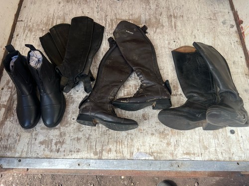 Equestrian joblot riding - equestrian,